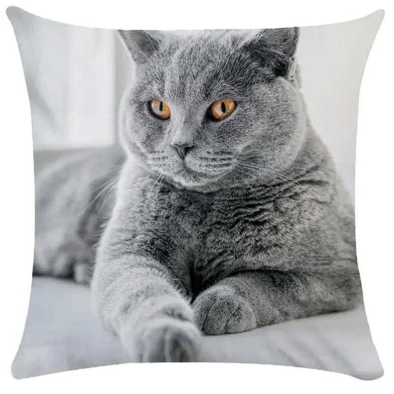 Black Cat Bubble Cushion Cover