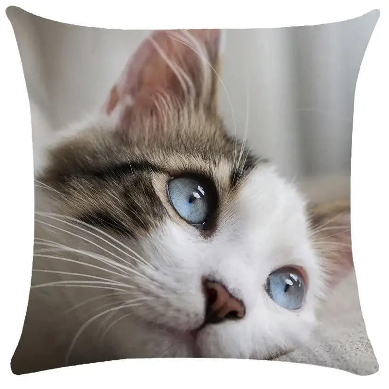 Black Cat Bubble Cushion Cover