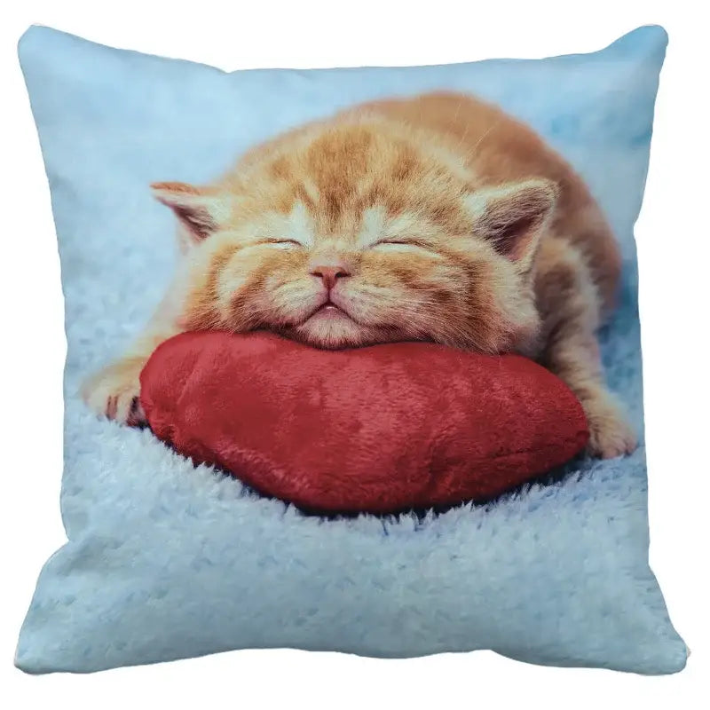 Black Cat Bubble Cushion Cover