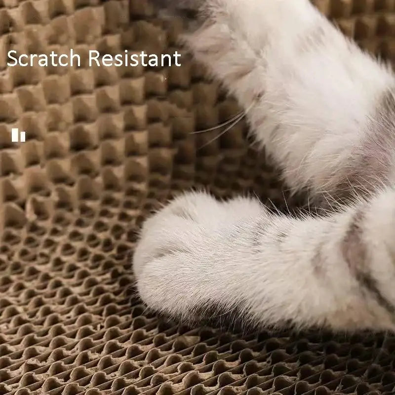 Cat Scratch Lounge Bed