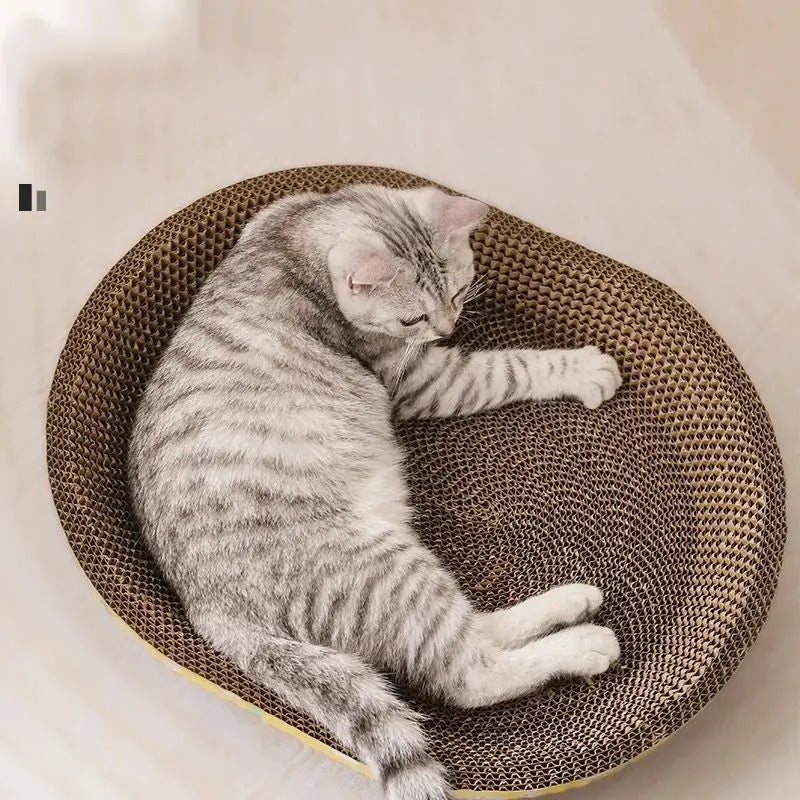Cat Scratch Lounge Bed