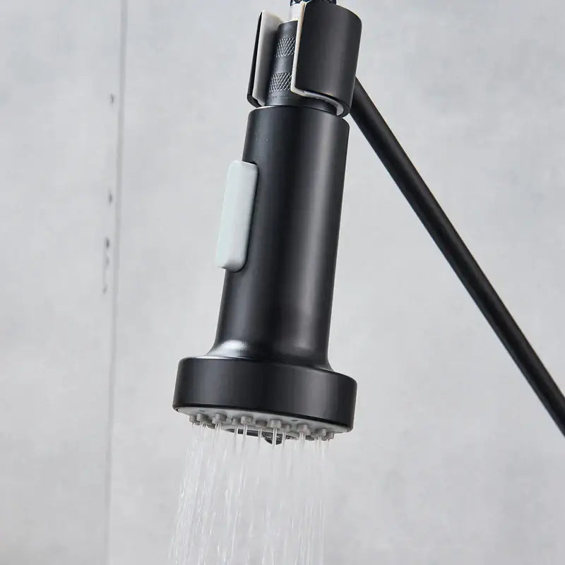 Chrome Sprayer Head Replacement