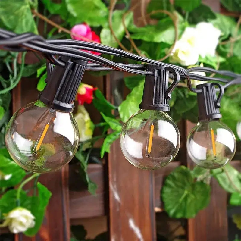 Clear Glass String Lights
