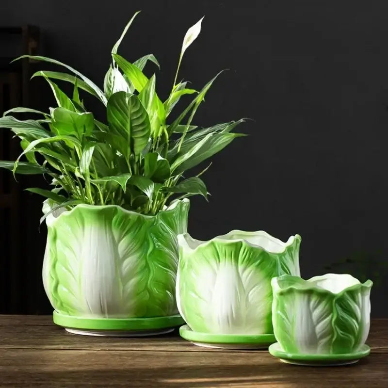 Ceramic Cabbage Flowerpot