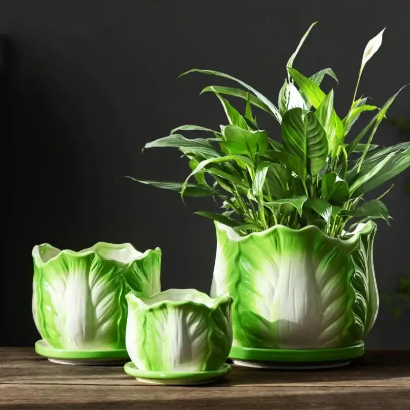 Ceramic Cabbage Flowerpot