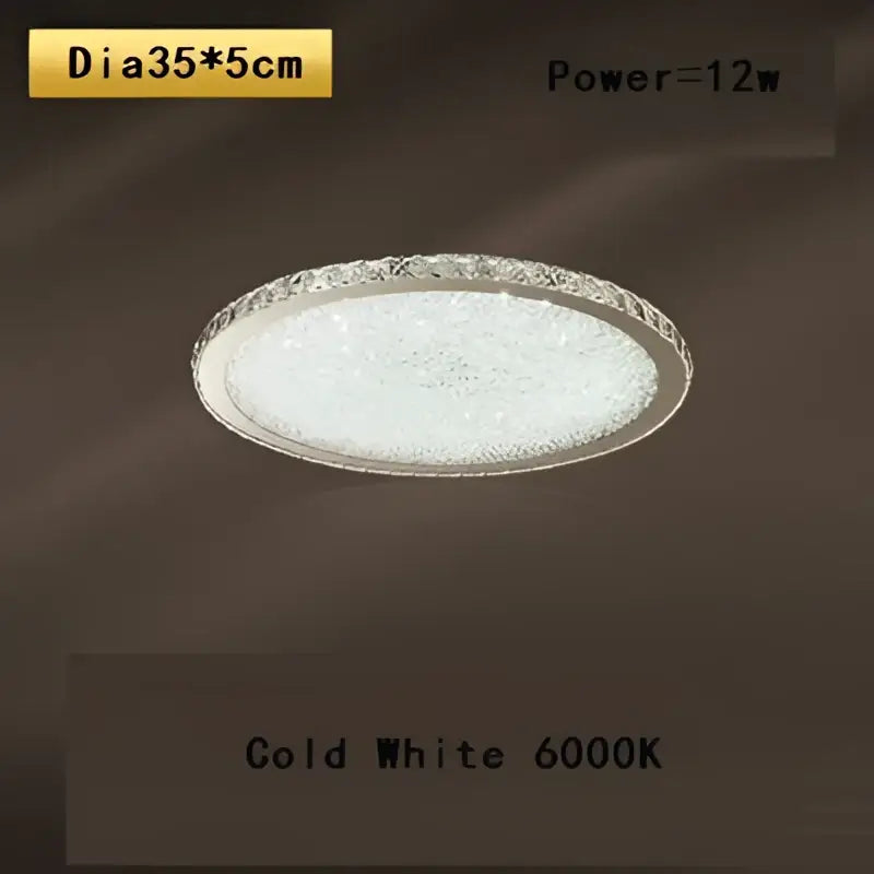 Crystal Frosted Ceiling Lamp
