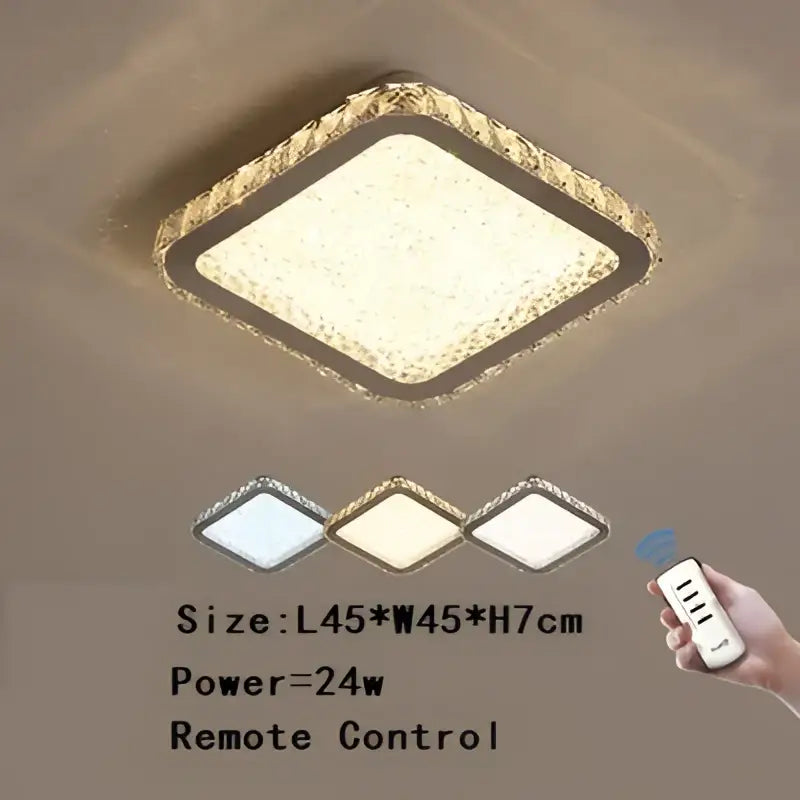 Crystal Frosted Ceiling Lamp