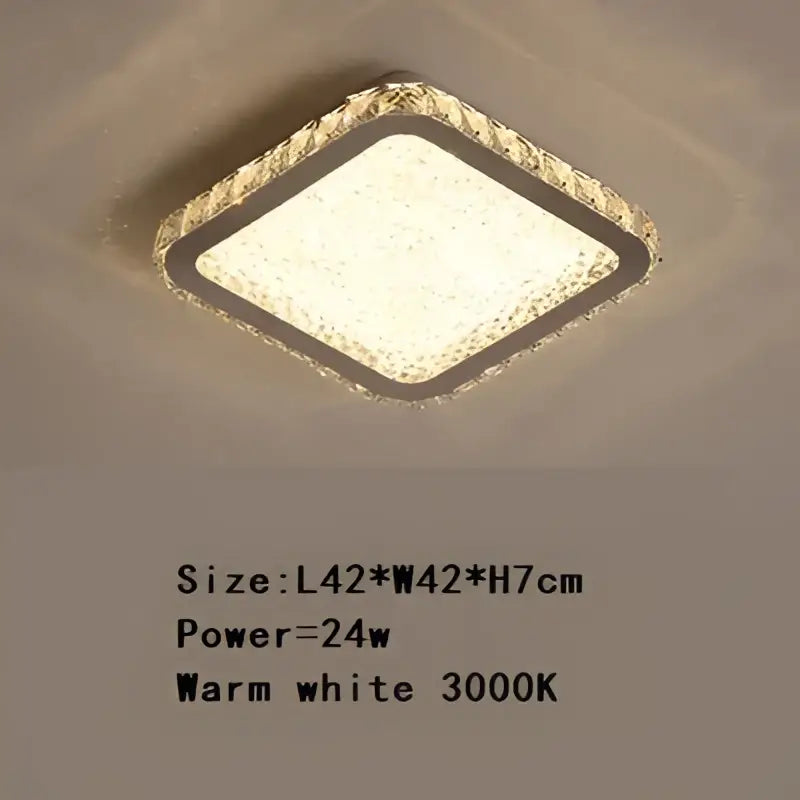 Crystal Frosted Ceiling Lamp