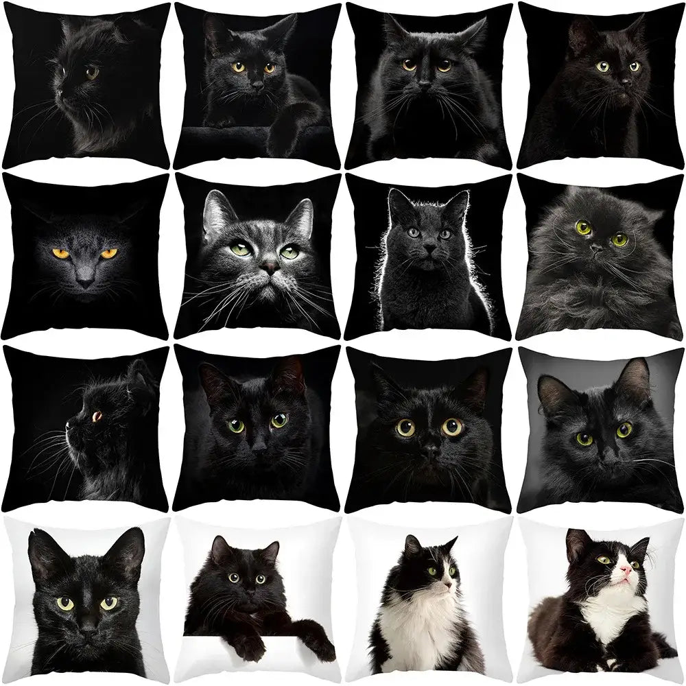 Black Cat Pillowcases Set