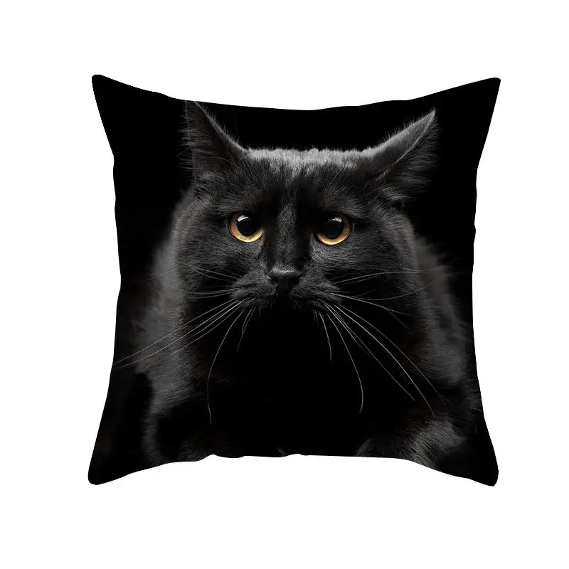 Black Cat Pillowcases Set