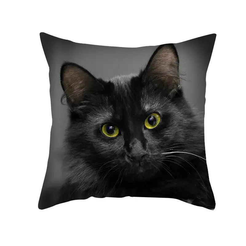 Black Cat Pillowcases Set