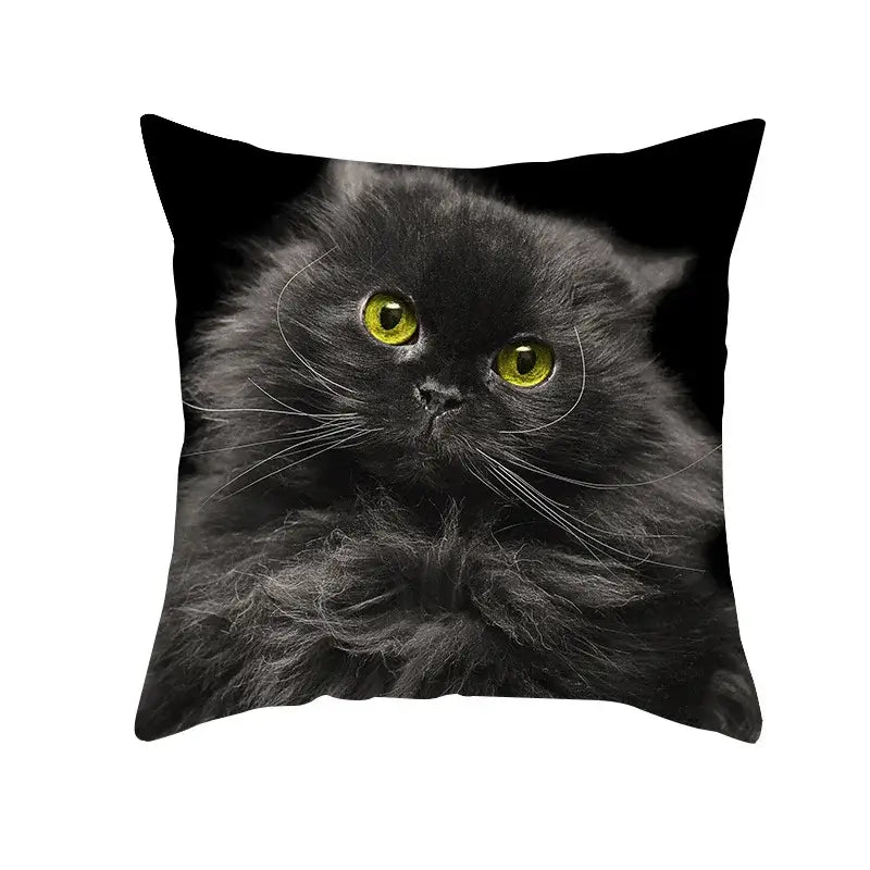 Black Cat Pillowcases Set