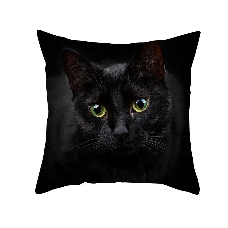 Black Cat Pillowcases Set