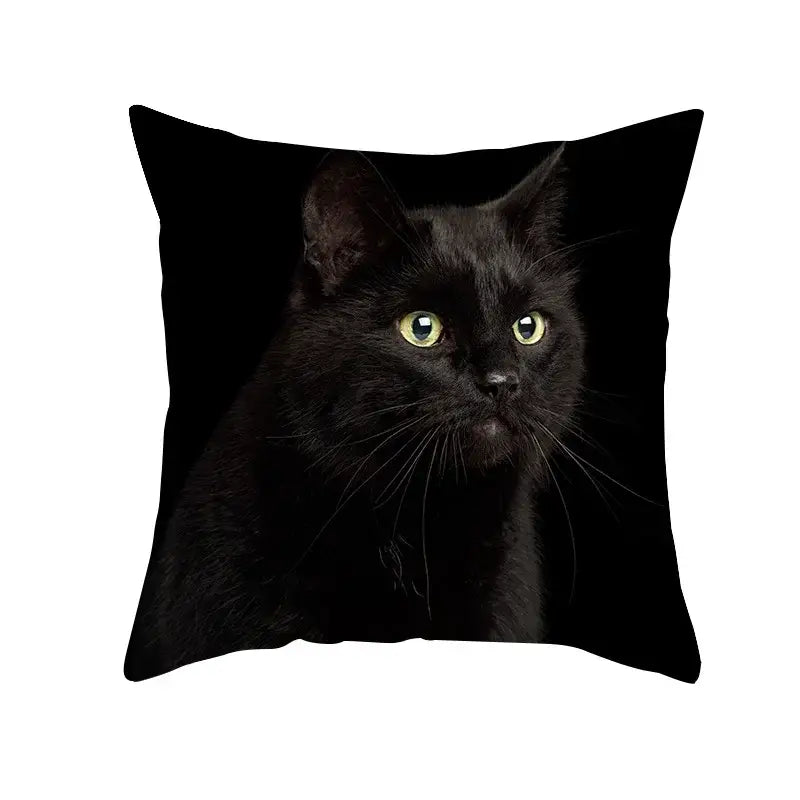 Black Cat Pillowcases Set