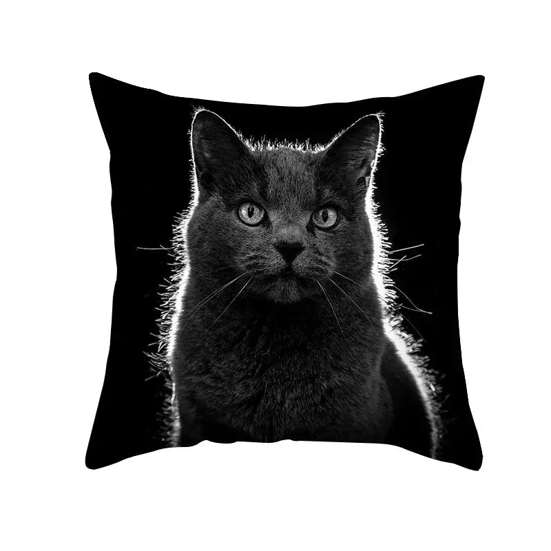 Black Cat Pillowcases Set