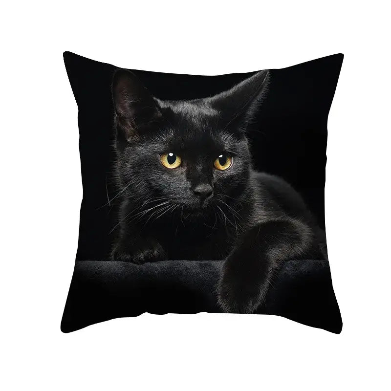 Black Cat Pillowcases Set