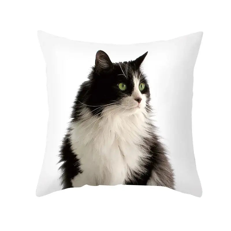 Black Cat Pillowcases Set