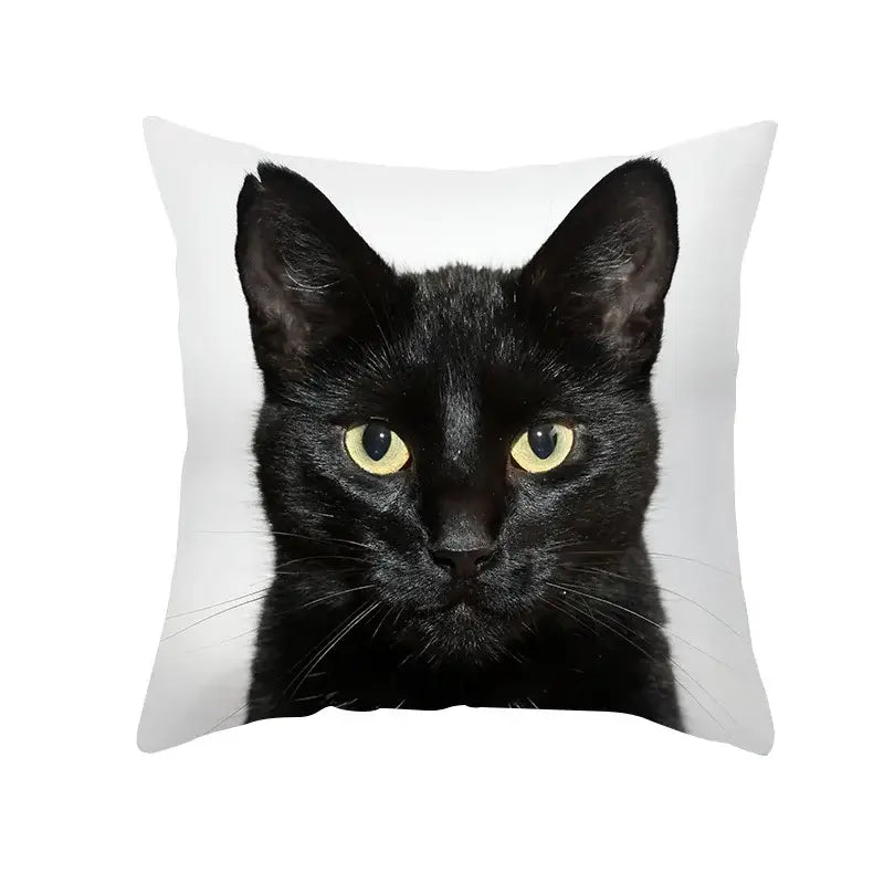 Black Cat Pillowcases Set