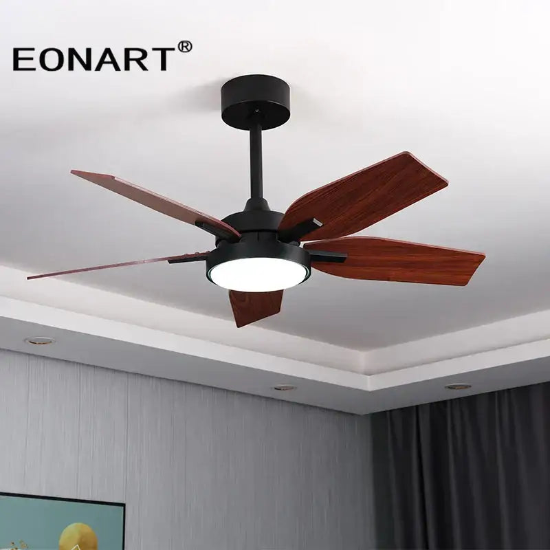 Black Modern Ceiling Fan