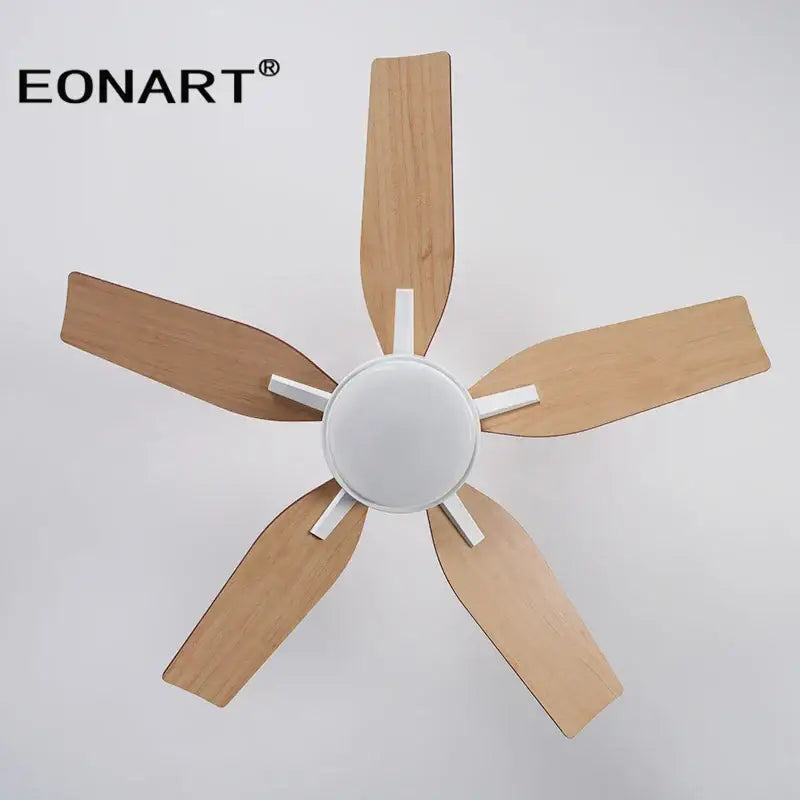 Black Modern Ceiling Fan