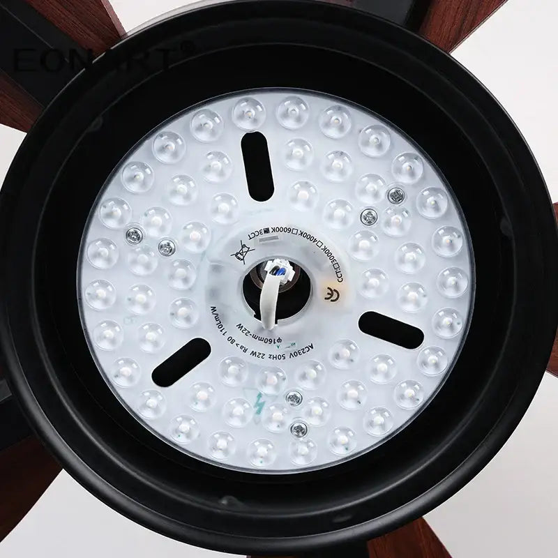 Black Modern Ceiling Fan