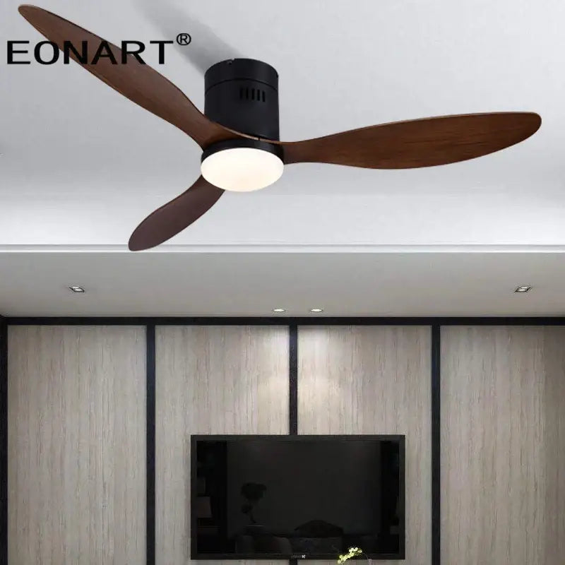 Black DC Ceiling Fan