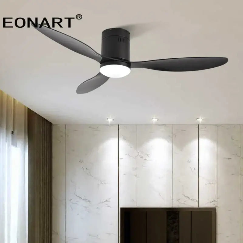 Black DC Ceiling Fan