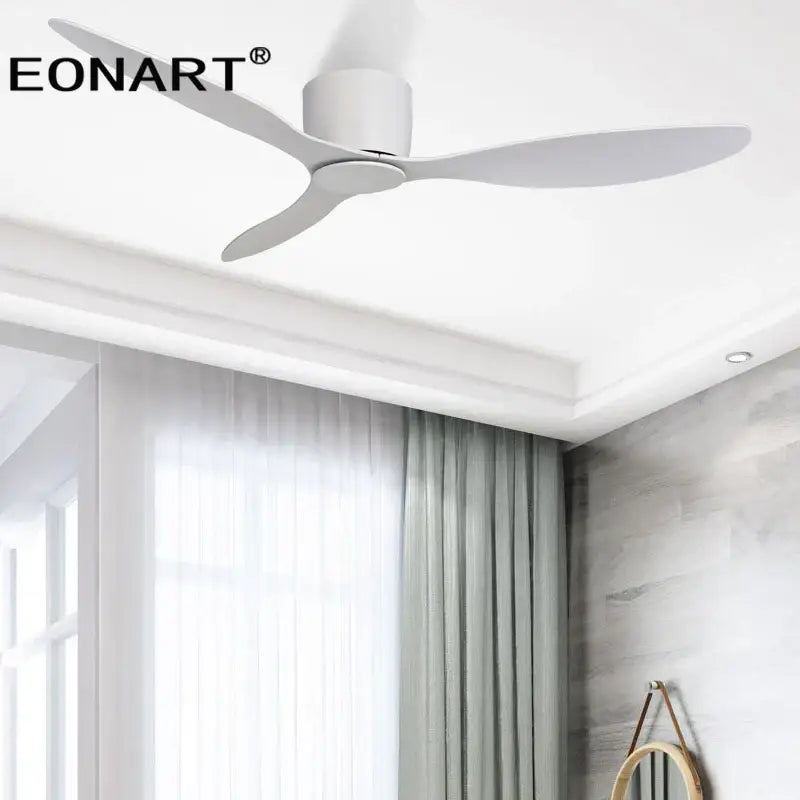 Black Remote Ceiling Fan