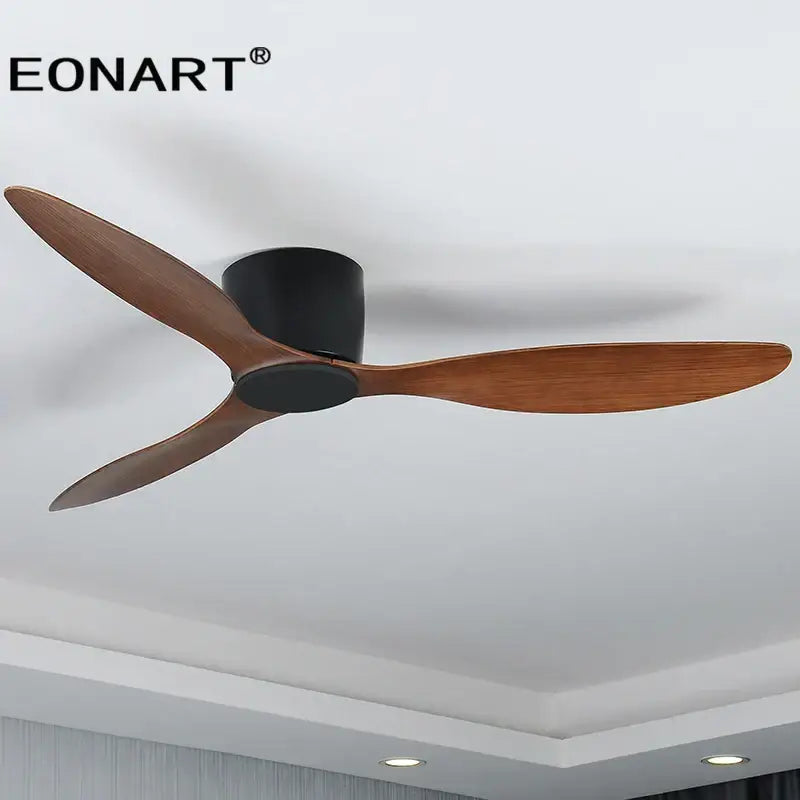 Black Remote Ceiling Fan