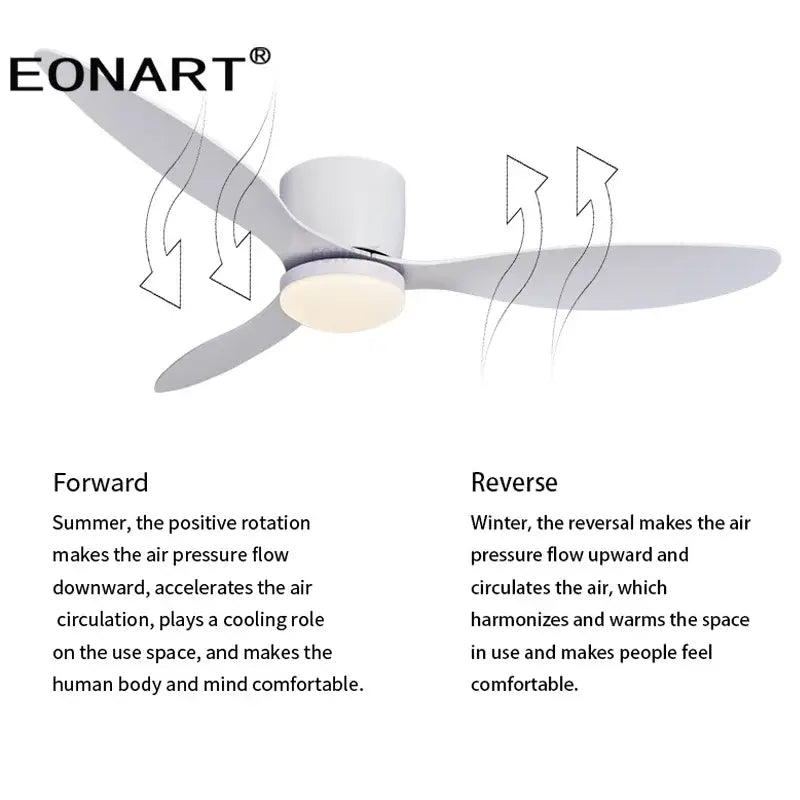 Black Remote Ceiling Fan