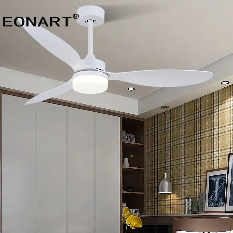 Black Plastic Ceiling Fan