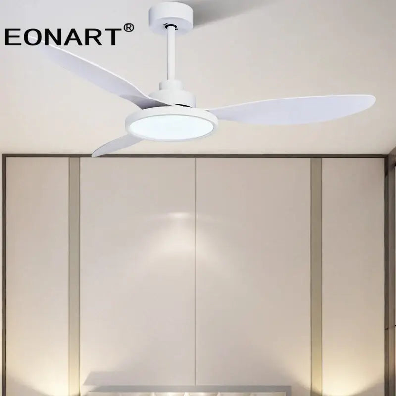Black Plastic Ceiling Fan