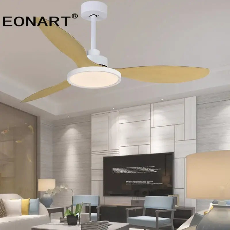 Black Plastic Ceiling Fan