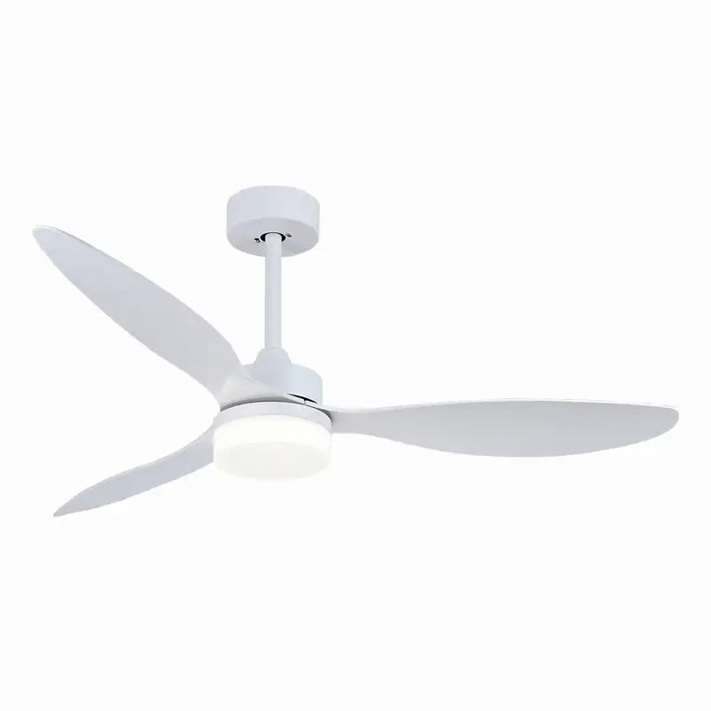 Black Plastic Ceiling Fan