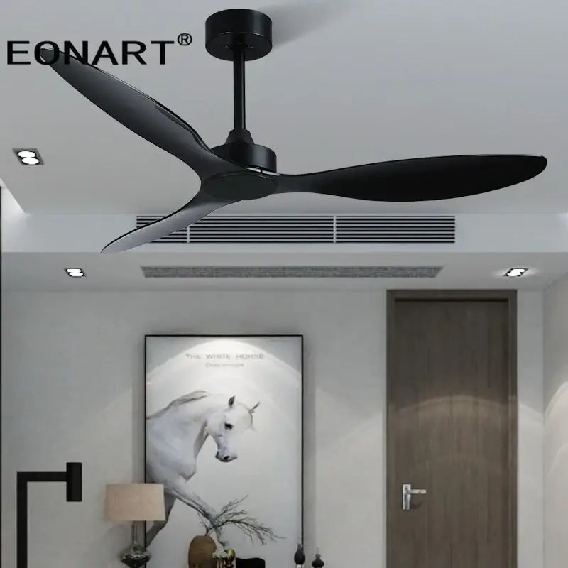 Black Plastic Ceiling Fan