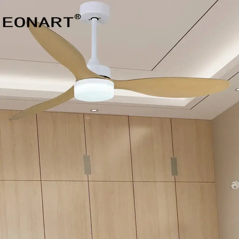 Black Plastic Ceiling Fan