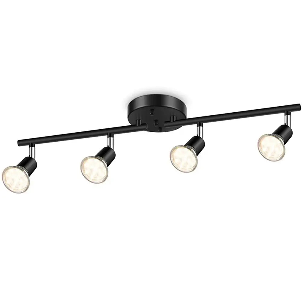 Black Metal Spot Light