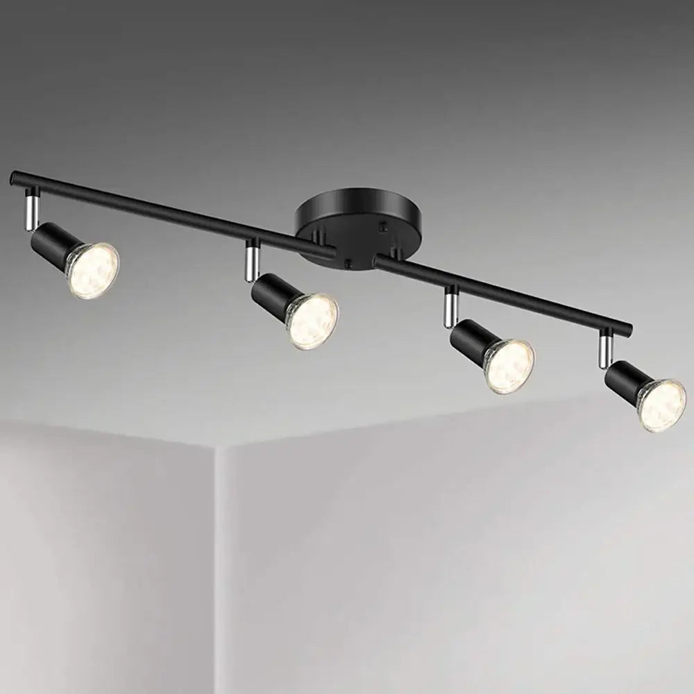 Black Metal Spot Light