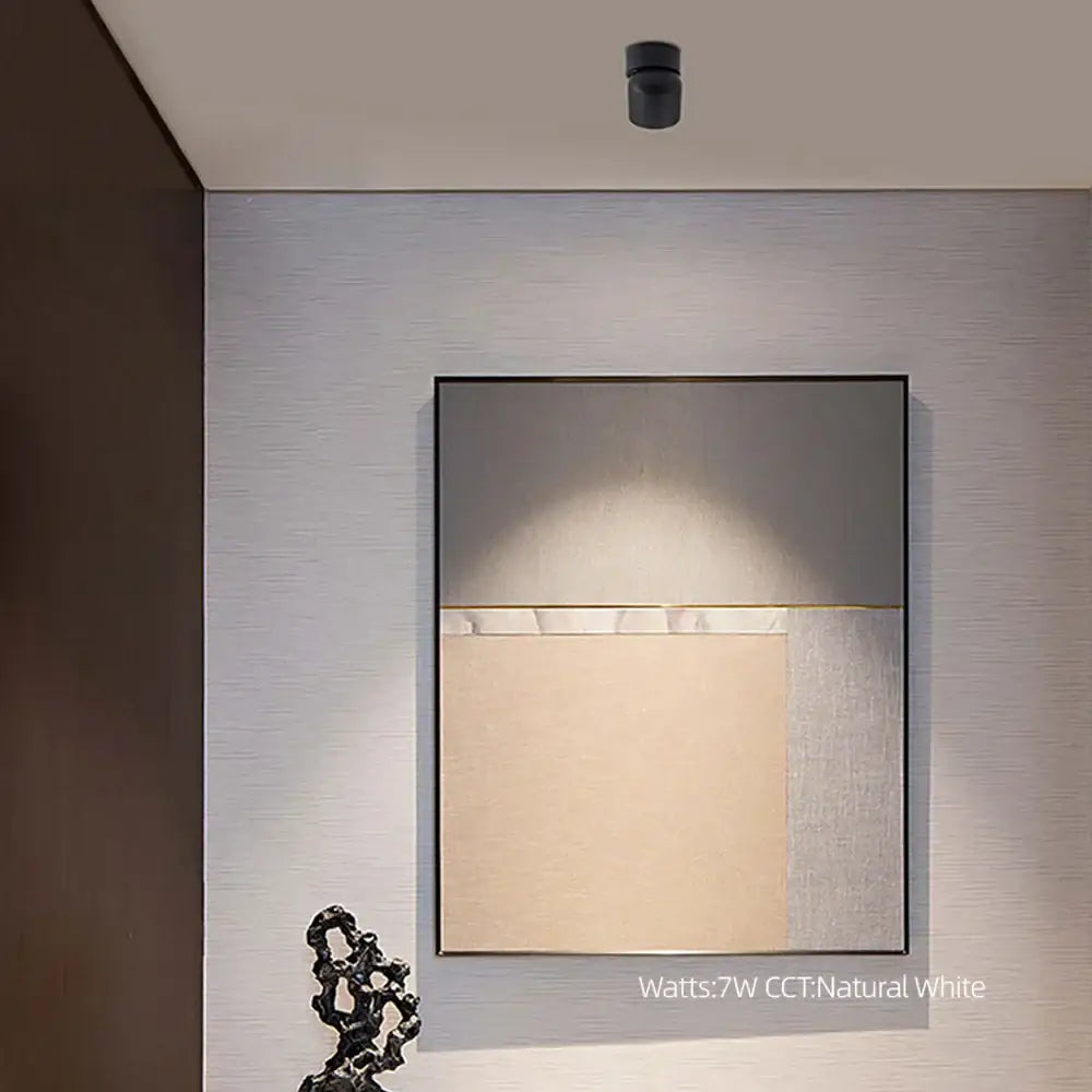 White COB Ceiling Spotlight
