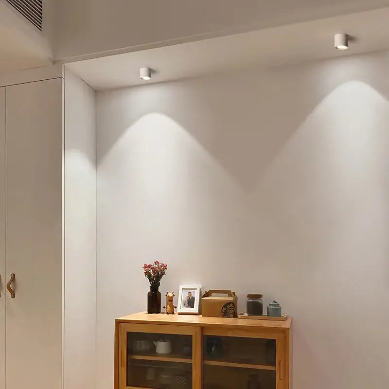 Black Aluminum Ceiling Lamp