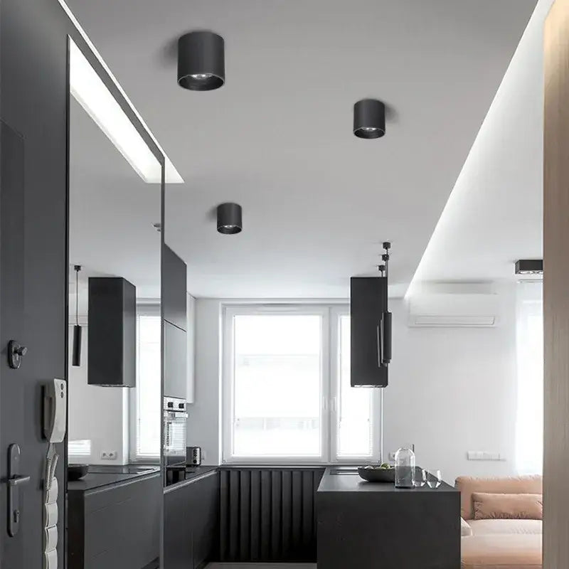 Black Aluminum Ceiling Lamp