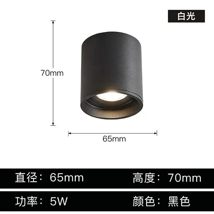 Black Aluminum Ceiling Lamp