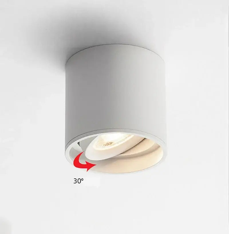 Black Aluminum Ceiling Lamp