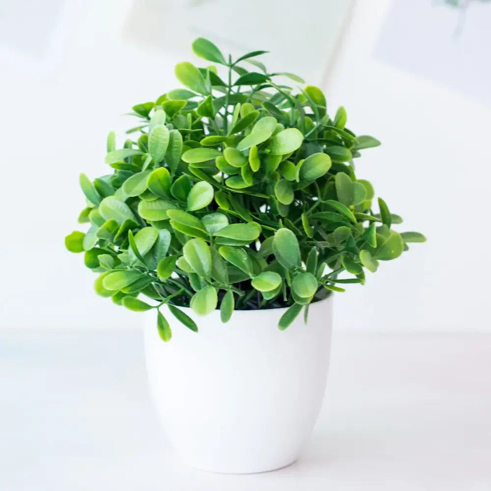Artificial Mini Plant Set