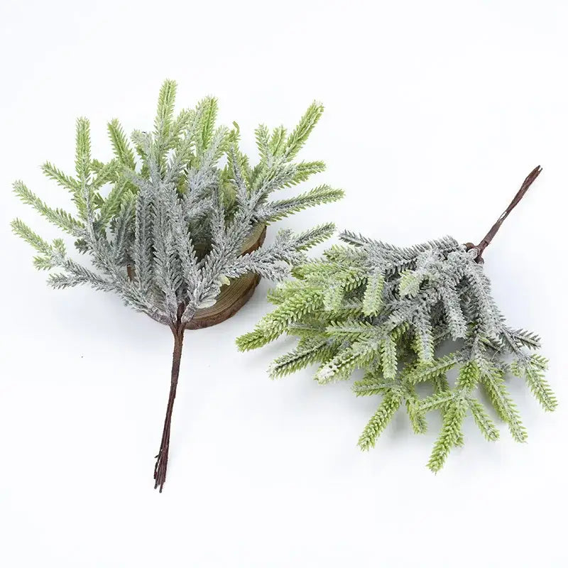 Green Gray Pine Plants