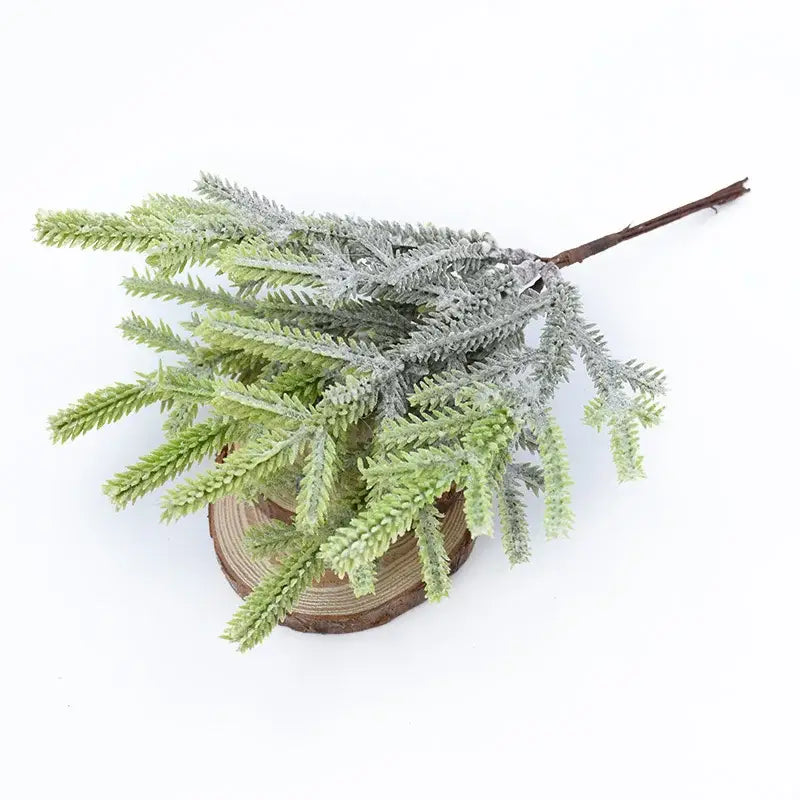 Green Gray Pine Plants
