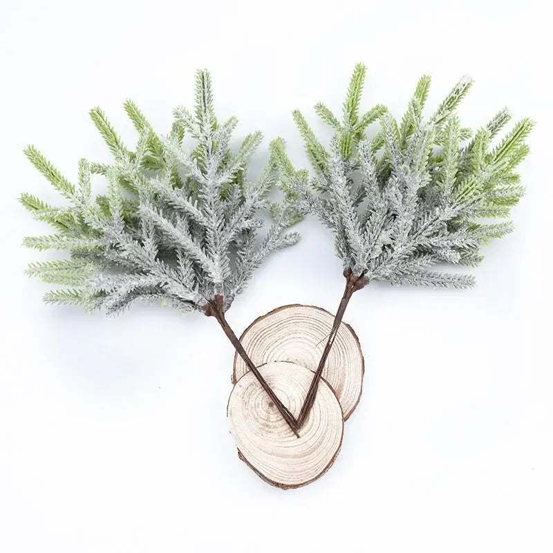 Green Gray Pine Plants