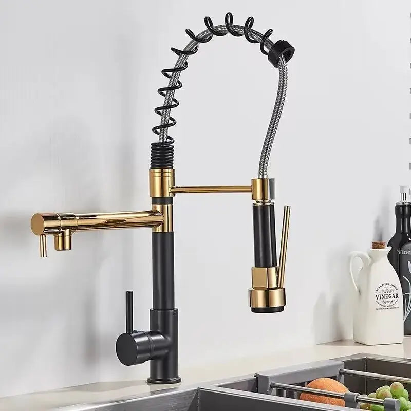 Black Brass Dual Spout Faucet