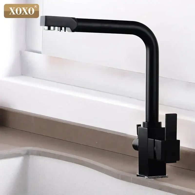 Black Brass Dual Handle Kitchen Faucet