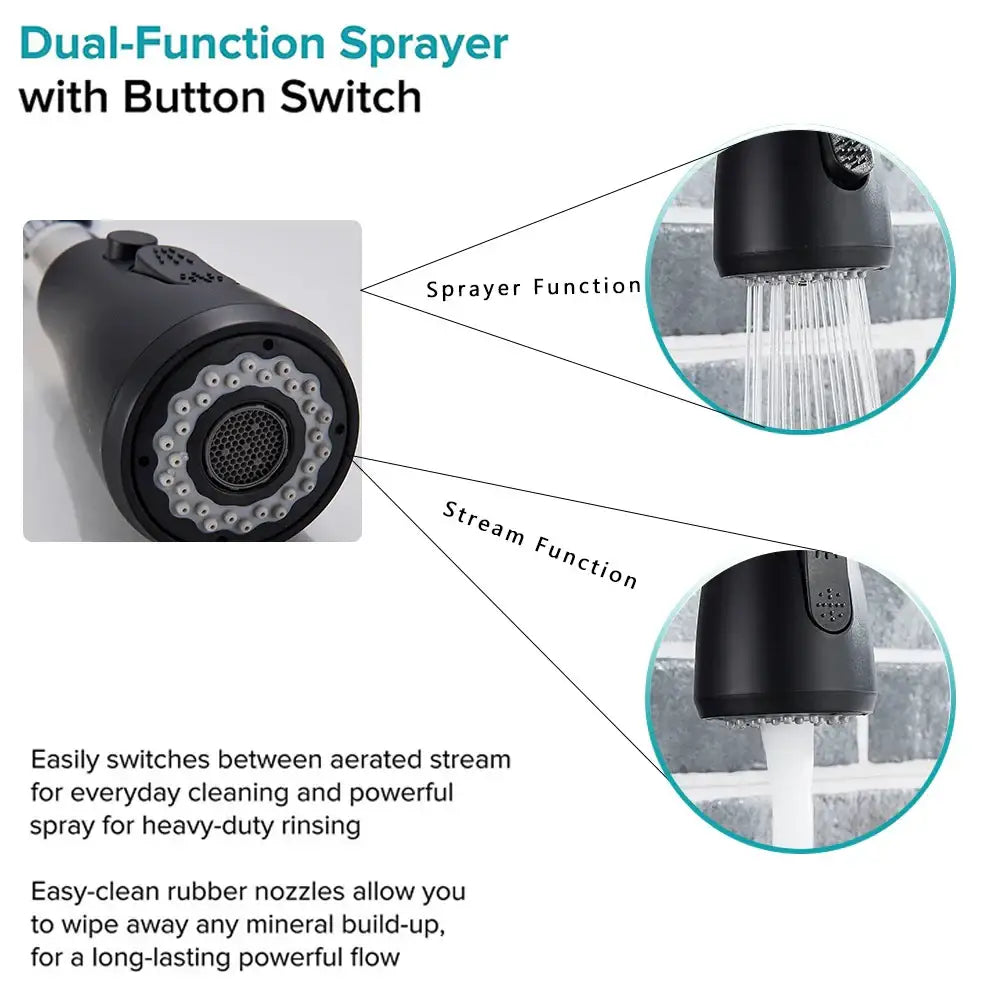 Matte Black Pull-Down Faucet